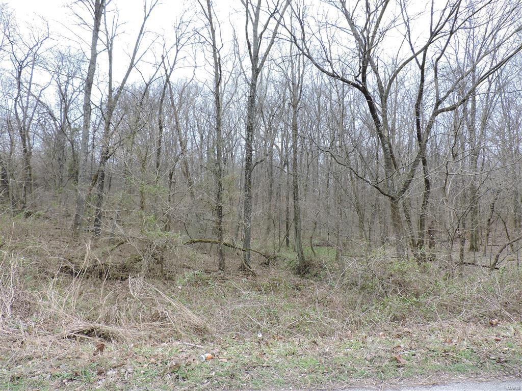 1472 Sugar Hill Road Ava, IL 62907 - Photo 23 of 47