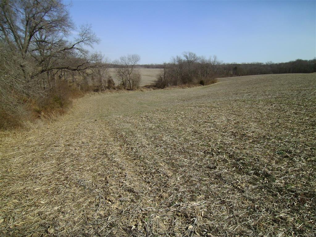 1472 Sugar Hill Road Ava, IL 62907 - Photo 25 of 47