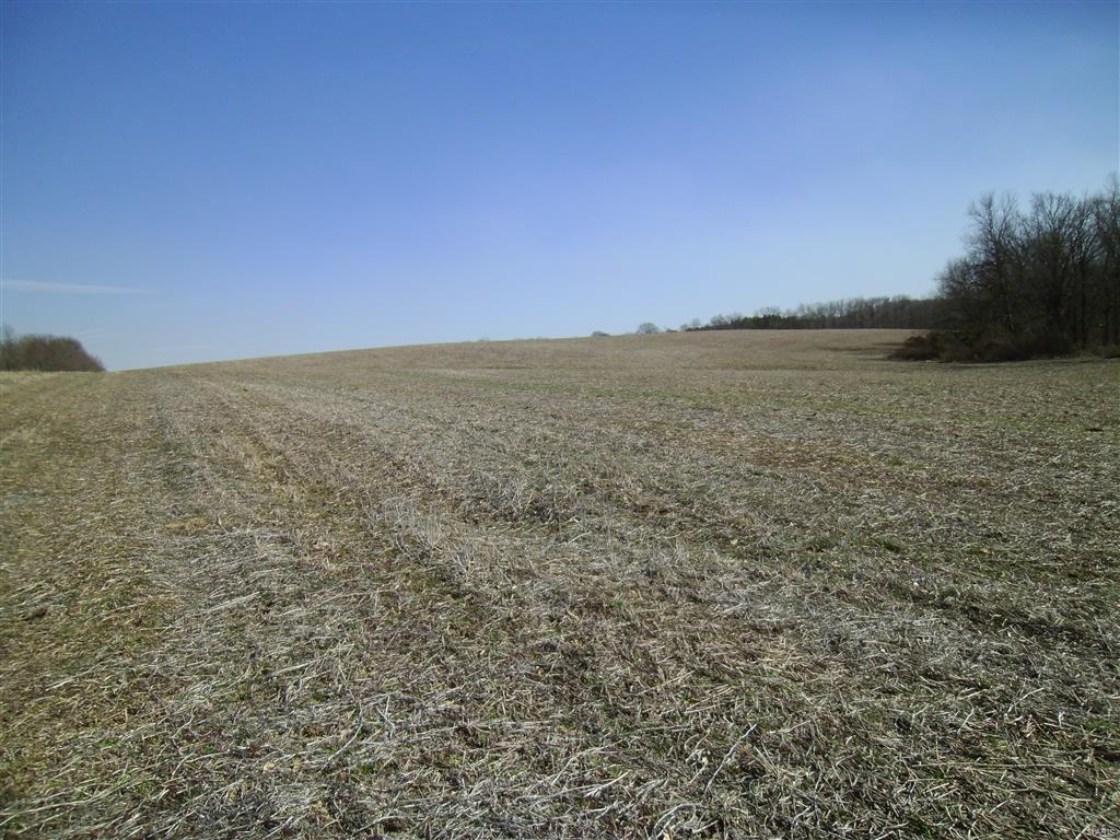 1472 Sugar Hill Road Ava, IL 62907 - Photo 26 of 47