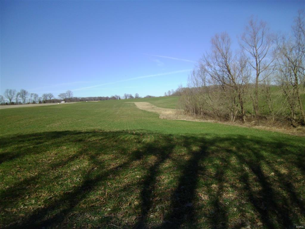 1472 Sugar Hill Road Ava, IL 62907 - Photo 27 of 47