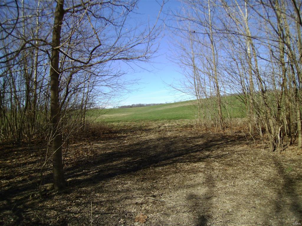 1472 Sugar Hill Road Ava, IL 62907 - Photo 28 of 47