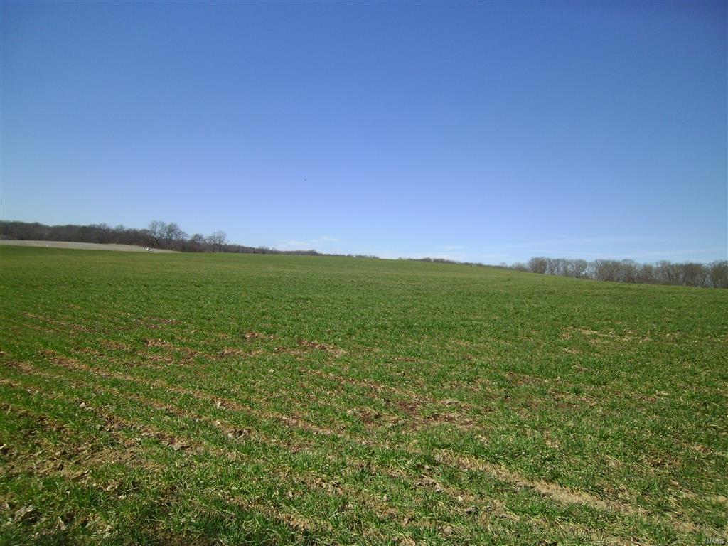 1472 Sugar Hill Road Ava, IL 62907 - Photo 29 of 47