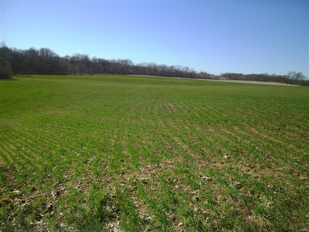 1472 Sugar Hill Road Ava, IL 62907 - Photo 30 of 47