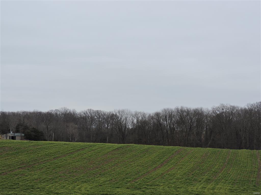 1472 Sugar Hill Road Ava, IL 62907 - Photo 4 of 47