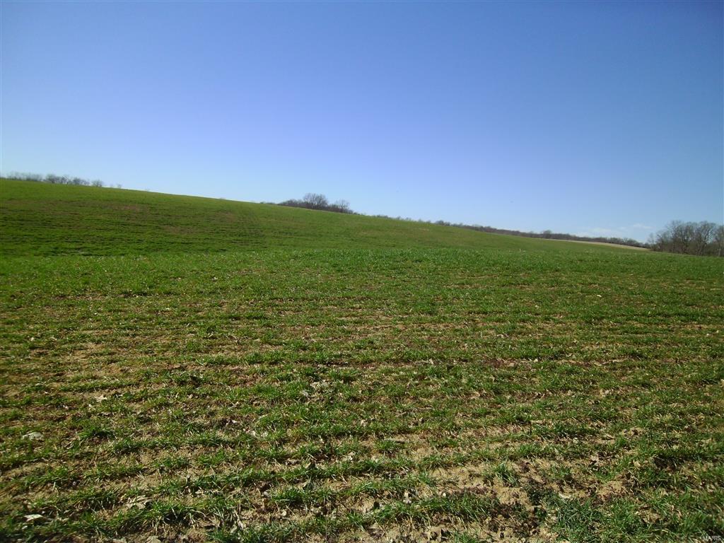 1472 Sugar Hill Road Ava, IL 62907 - Photo 31 of 47