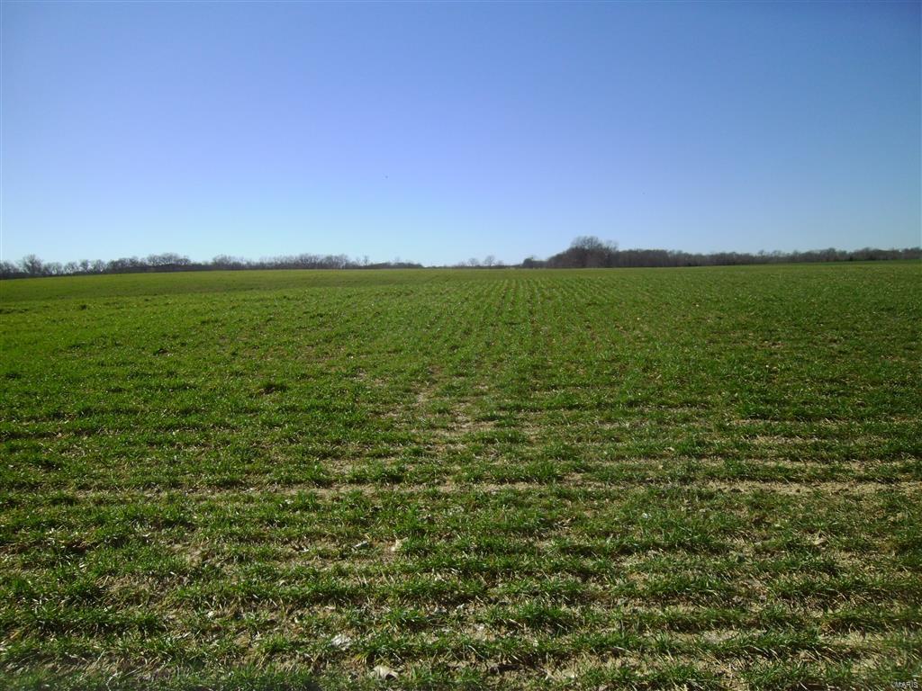 1472 Sugar Hill Road Ava, IL 62907 - Photo 32 of 47