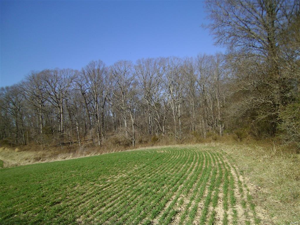 1472 Sugar Hill Road Ava, IL 62907 - Photo 33 of 47