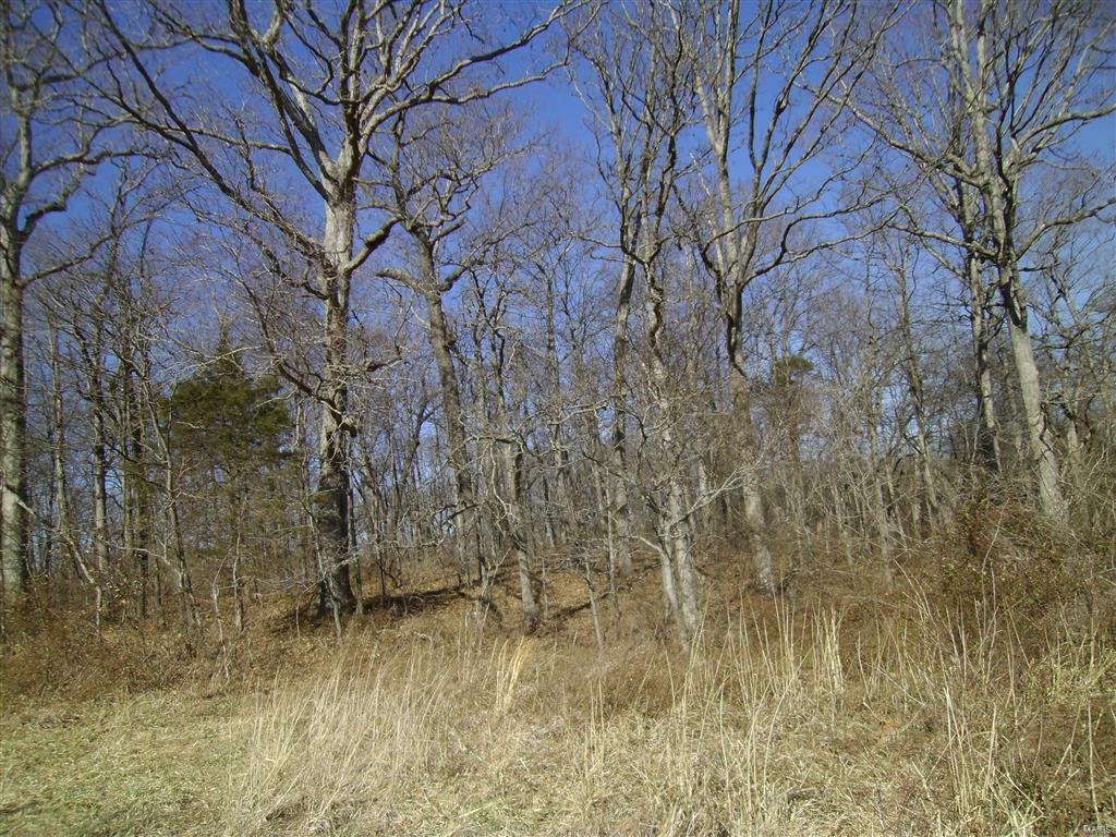 1472 Sugar Hill Road Ava, IL 62907 - Photo 34 of 47