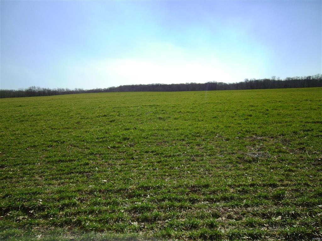 1472 Sugar Hill Road Ava, IL 62907 - Photo 36 of 47