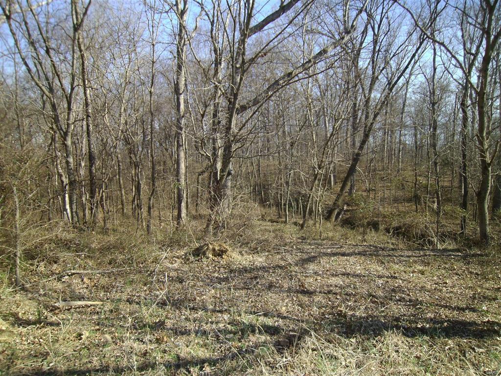 1472 Sugar Hill Road Ava, IL 62907 - Photo 37 of 47