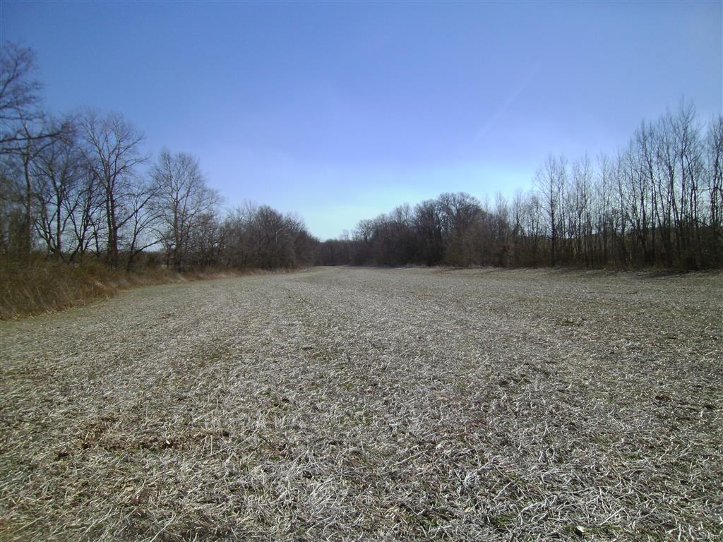 1472 Sugar Hill Road Ava, IL 62907 - Photo 38 of 47