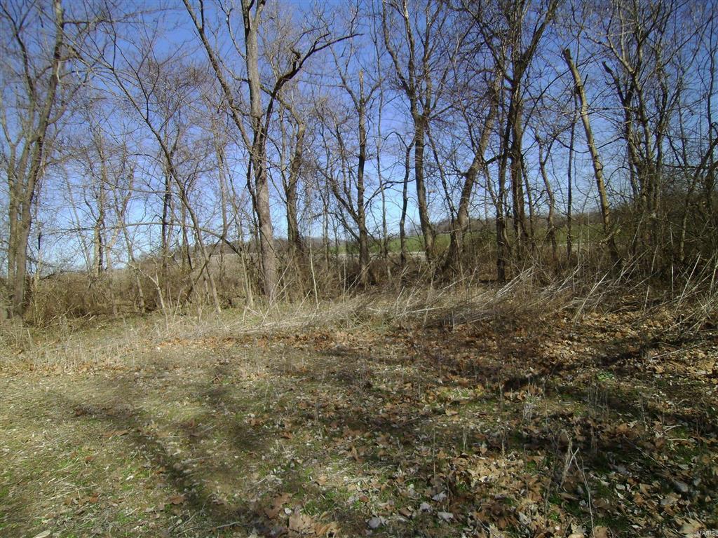 1472 Sugar Hill Road Ava, IL 62907 - Photo 39 of 47