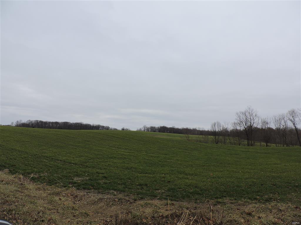 1472 Sugar Hill Road Ava, IL 62907 - Photo 5 of 47