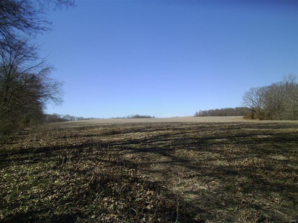 1472 Sugar Hill Road Ava, IL 62907 - Photo 41 of 47