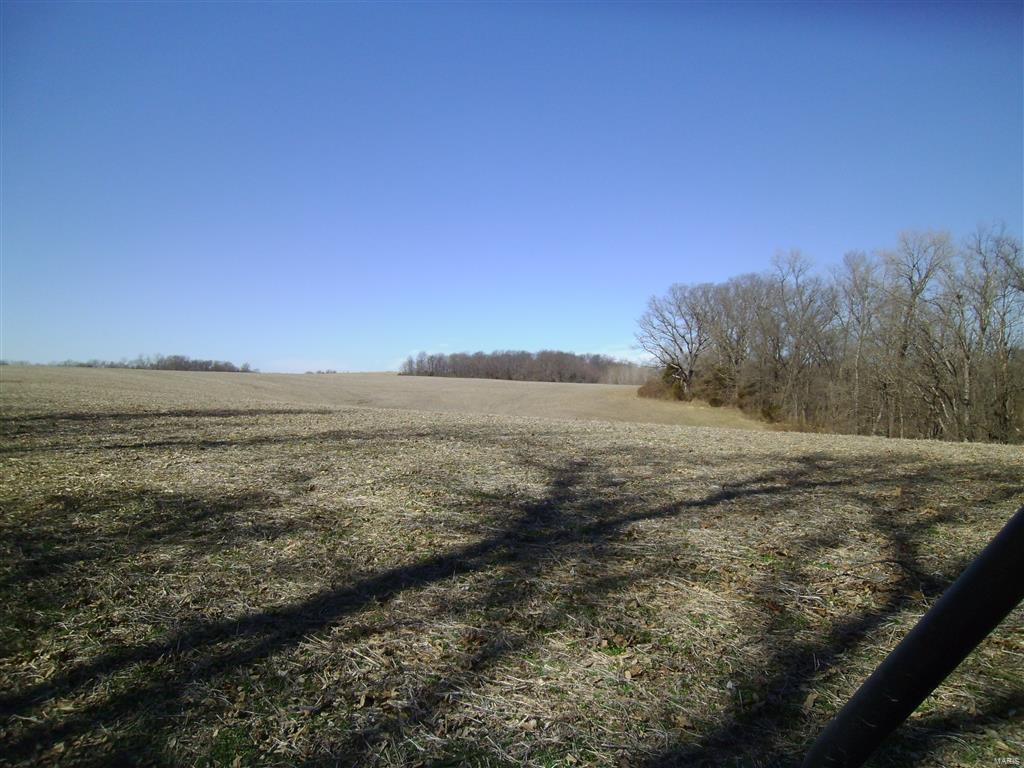 1472 Sugar Hill Road Ava, IL 62907 - Photo 42 of 47