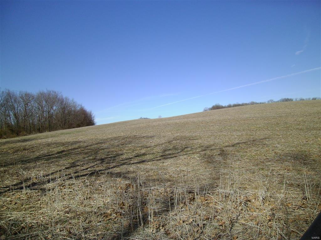 1472 Sugar Hill Road Ava, IL 62907 - Photo 43 of 47