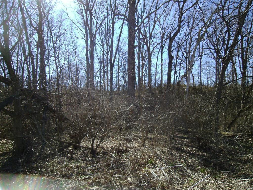 1472 Sugar Hill Road Ava, IL 62907 - Photo 44 of 47