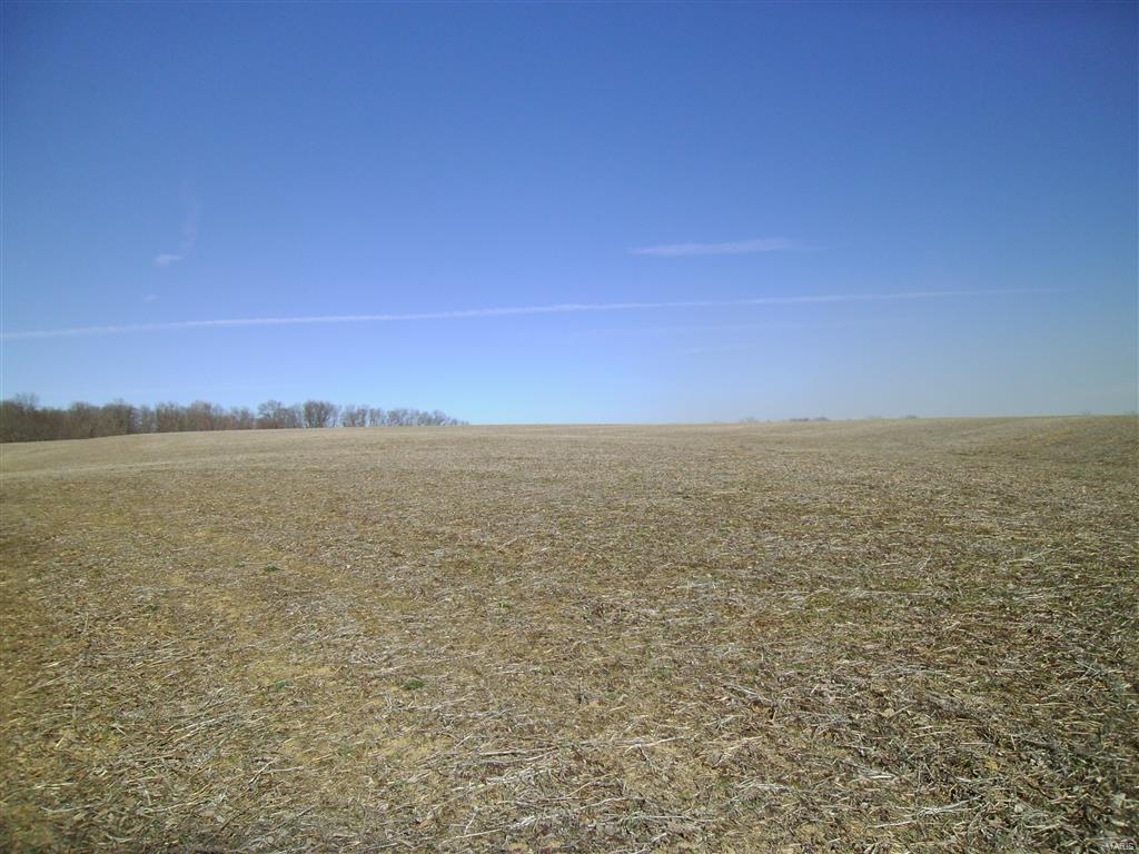 1472 Sugar Hill Road Ava, IL 62907 - Photo 45 of 47