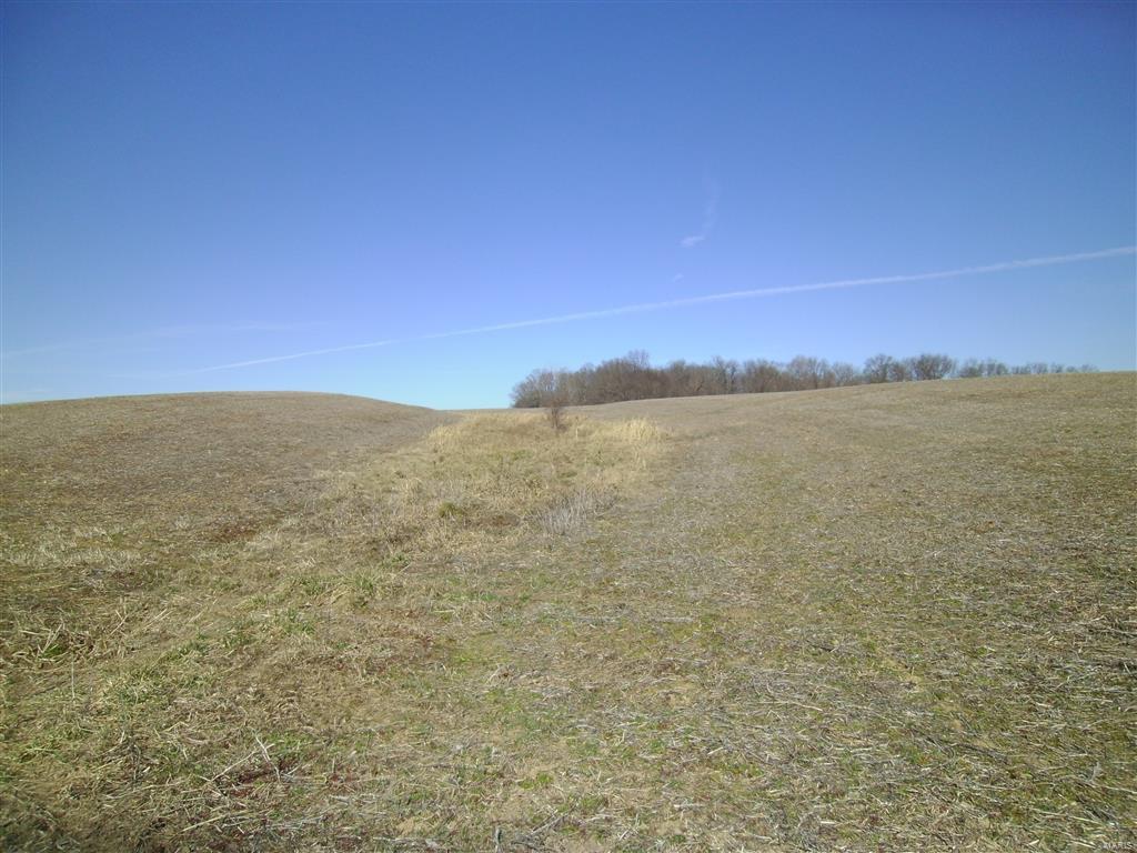 1472 Sugar Hill Road Ava, IL 62907 - Photo 46 of 47