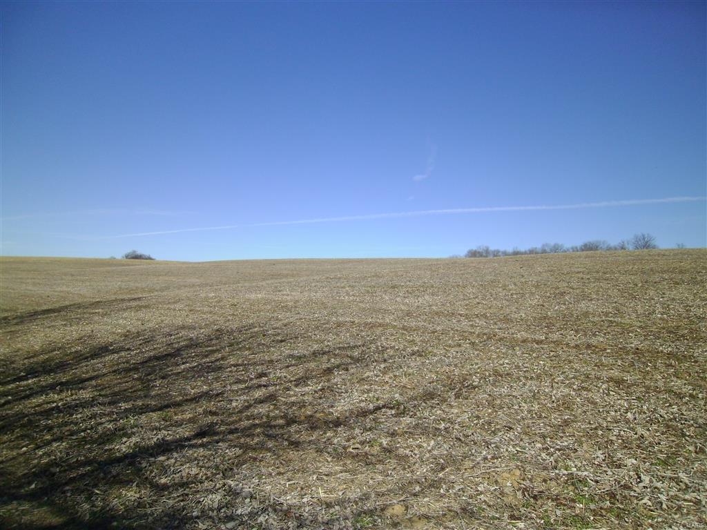 1472 Sugar Hill Road Ava, IL 62907 - Photo 47 of 47