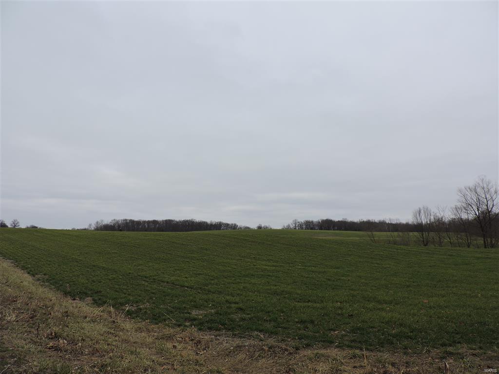 1472 Sugar Hill Road Ava, IL 62907 - Photo 6 of 47