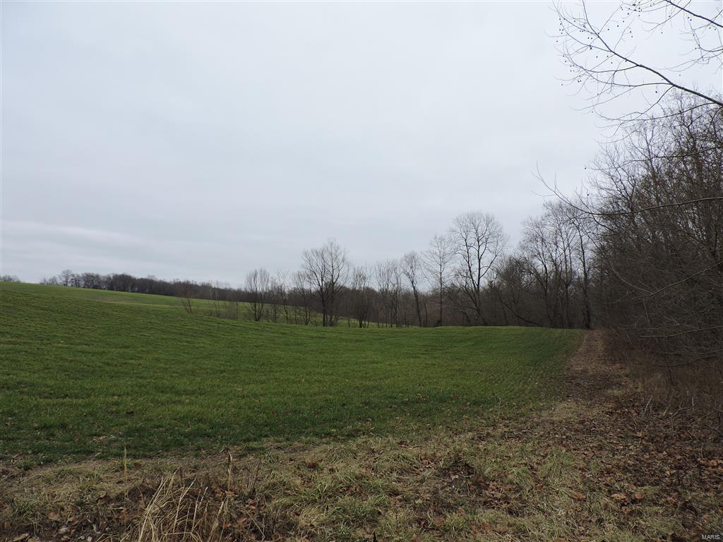 1472 Sugar Hill Road Ava, IL 62907 - Photo 7 of 47