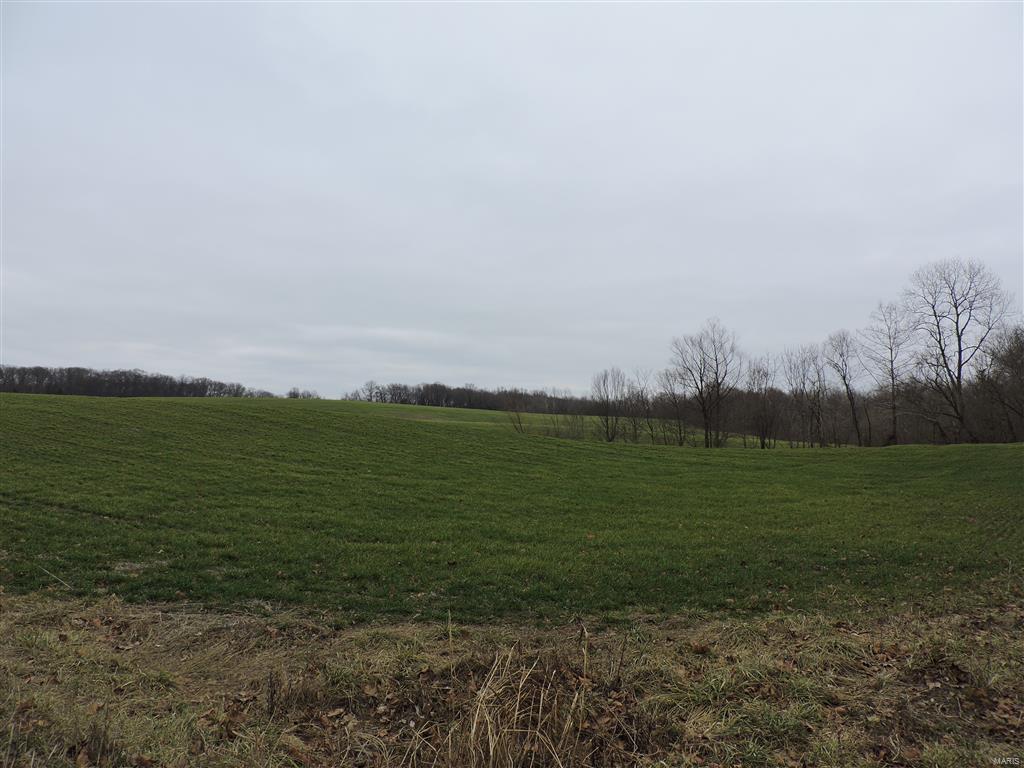 1472 Sugar Hill Road Ava, IL 62907 - Photo 8 of 47