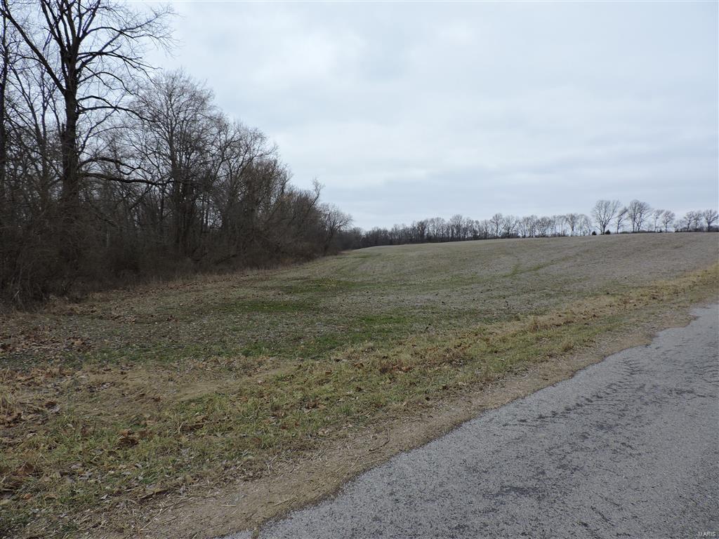 1472 Sugar Hill Road Ava, IL 62907 - Photo 9 of 47