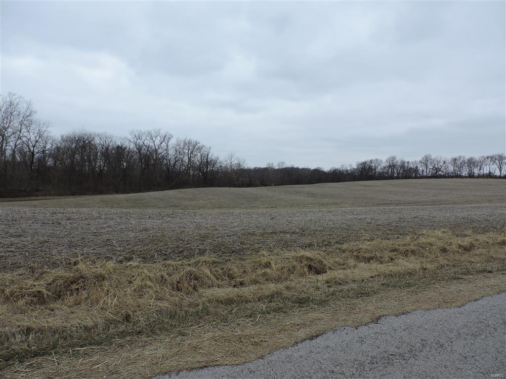 1472 Sugar Hill Road Ava, IL 62907 - Photo 10 of 47