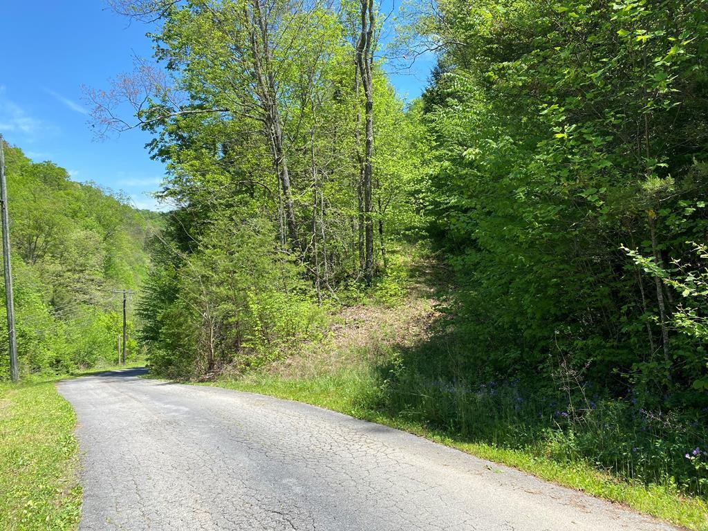 0 Little Cove Road Sevierville, TN 37862 - Photo 1 of 4
