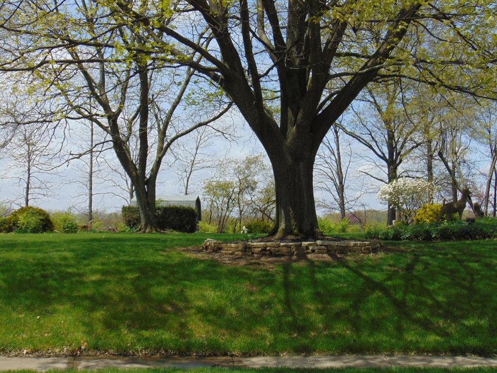 1660 Westminster Road Marion, OH 43302 - Photo 29 of 48