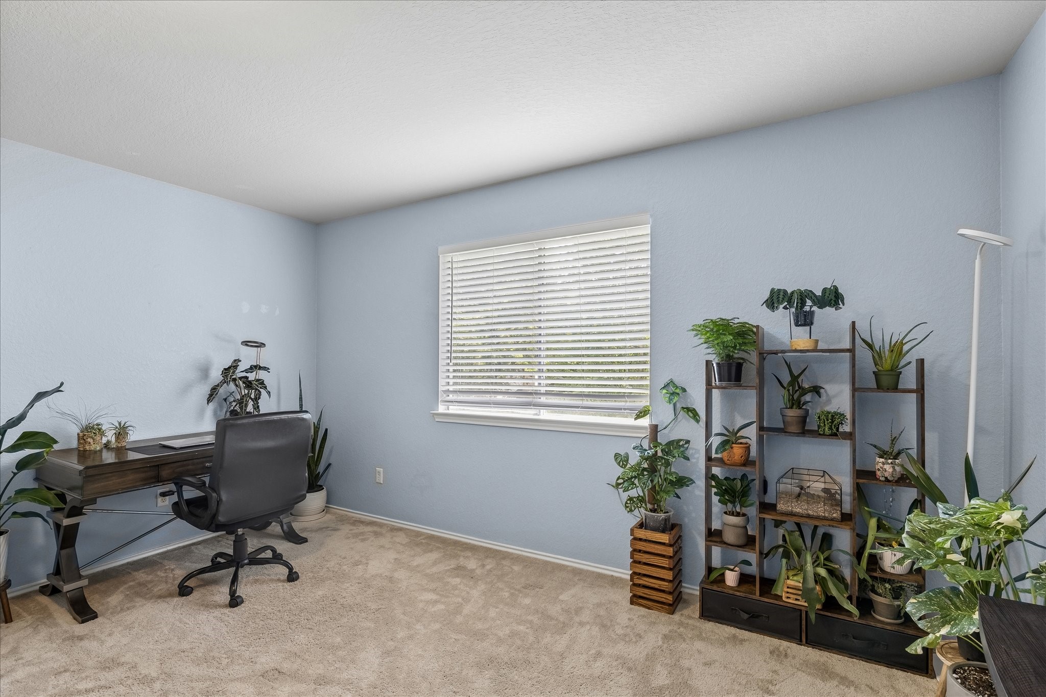 23234 Grand Rapids Lane Spring, TX 77373 - Photo 23 of 30 Light-filled flex room offers the perfect work-from-home setup with plenty of space to personalize as an office or studio.