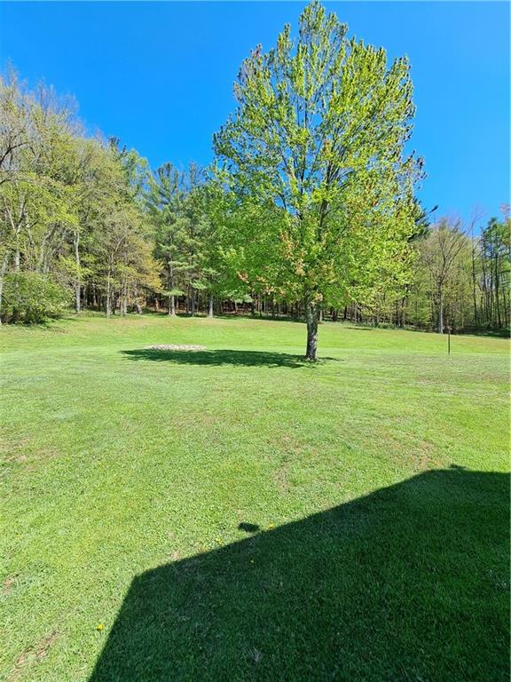 418 Bacon Run Road Clarksville, PA 15322 - Photo 8 of 28 Back yard