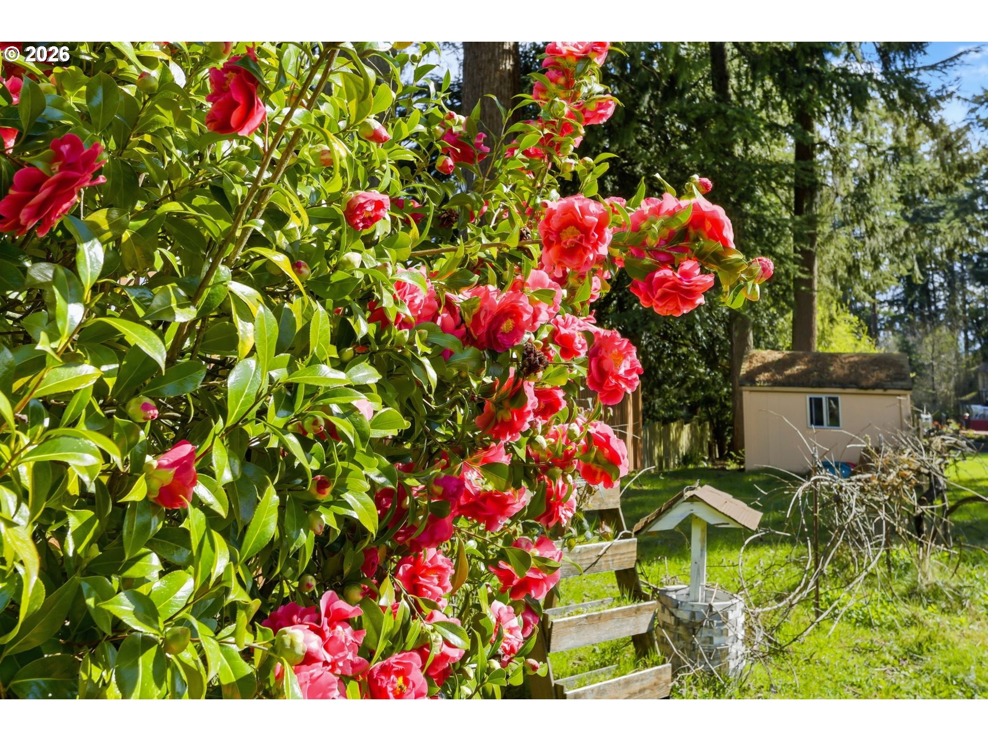 9925 Southwest Inez Street Portland, OR 97224 - Photo 27 of 32