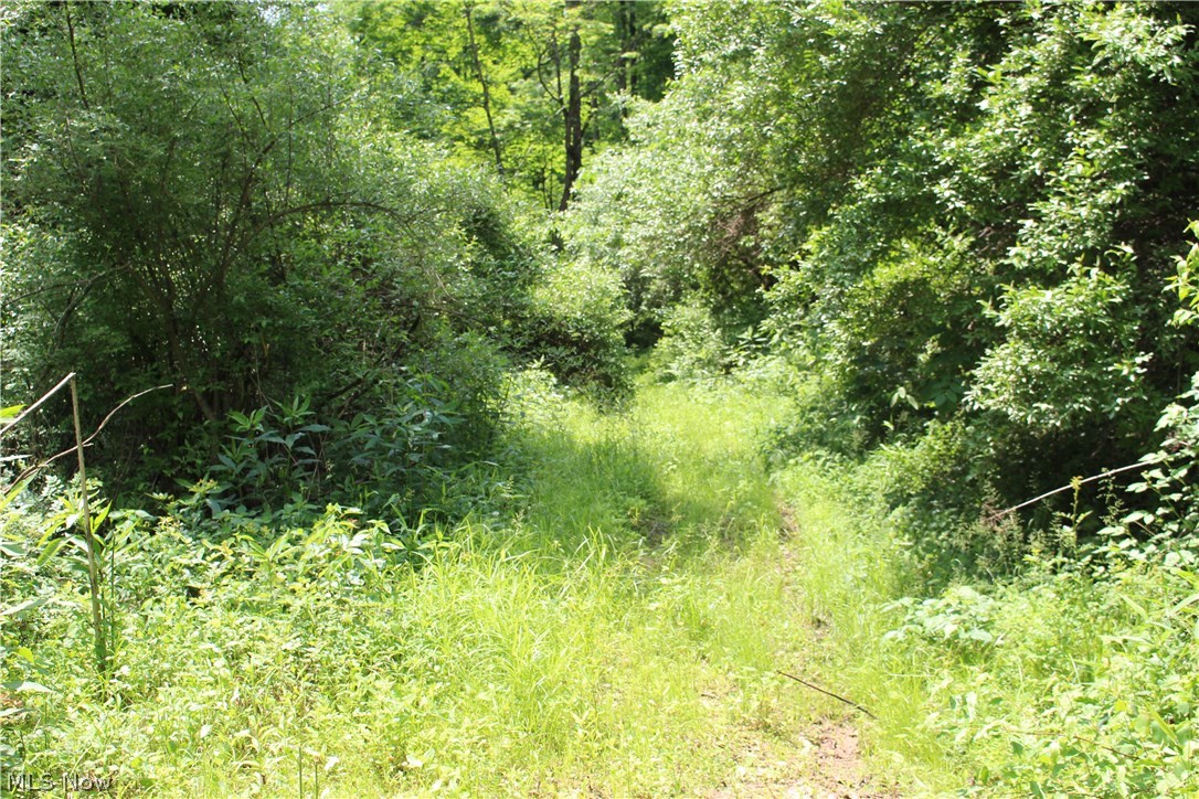 Upper Run Road Jacksonburg, WV 26377 - Photo 5 of 10