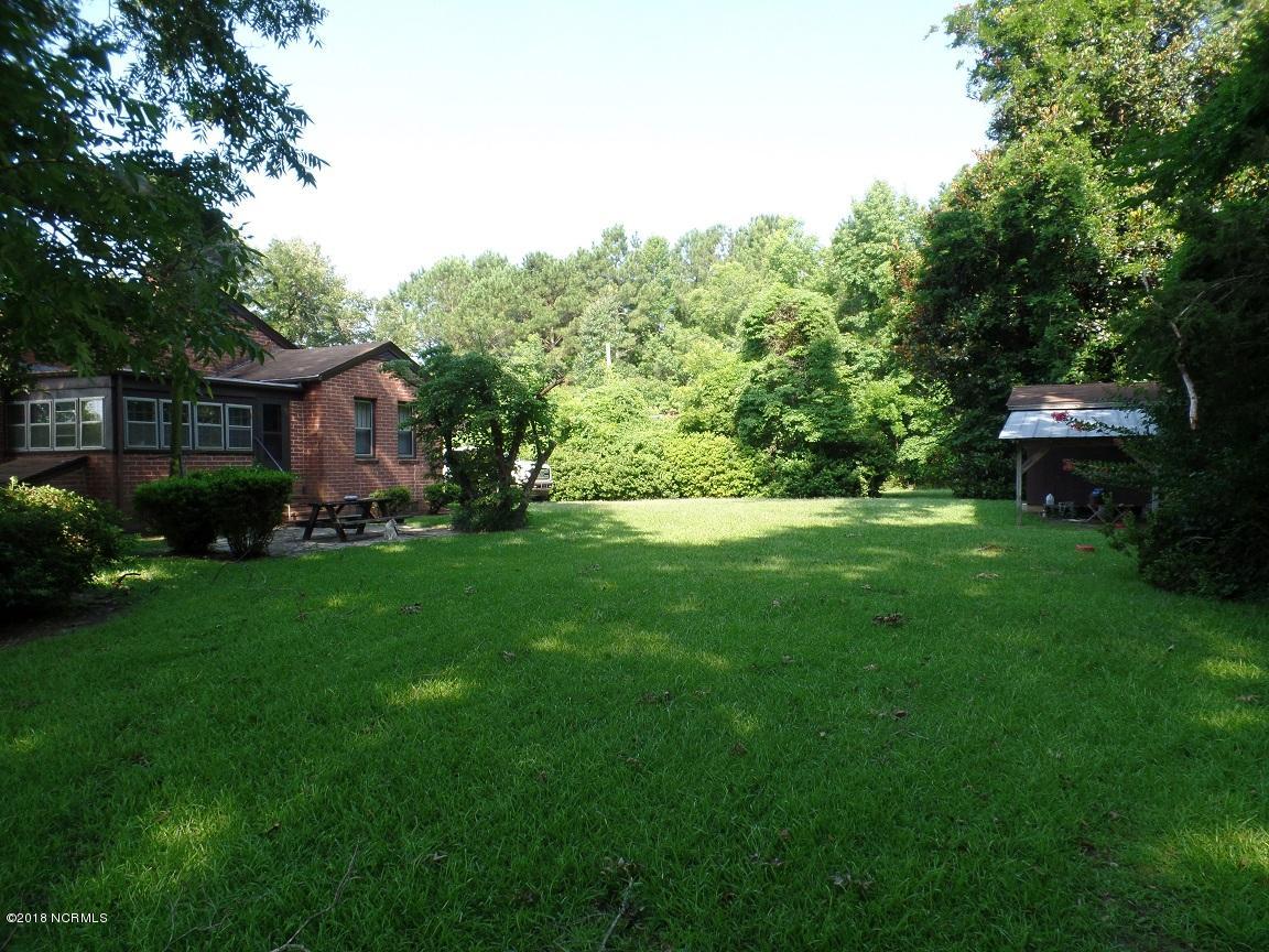 1663 Baldwin Elkins Road Clarkton, NC 28433 - Photo 14 of 16 Priest 14 - Rear yard