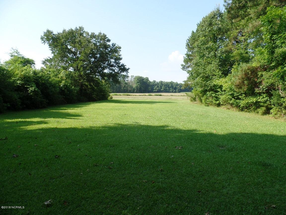 1663 Baldwin Elkins Road Clarkton, NC 28433 - Photo 15 of 16 Priest 15 - Side Yard