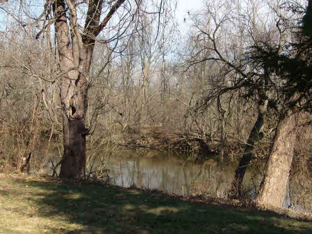 1160 Jiggady Road New Market, VA 22844 - Photo 4 of 8 Gallery Image 4