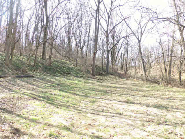 1160 Jiggady Road New Market, VA 22844 - Photo 7 of 8 Gallery Image 7