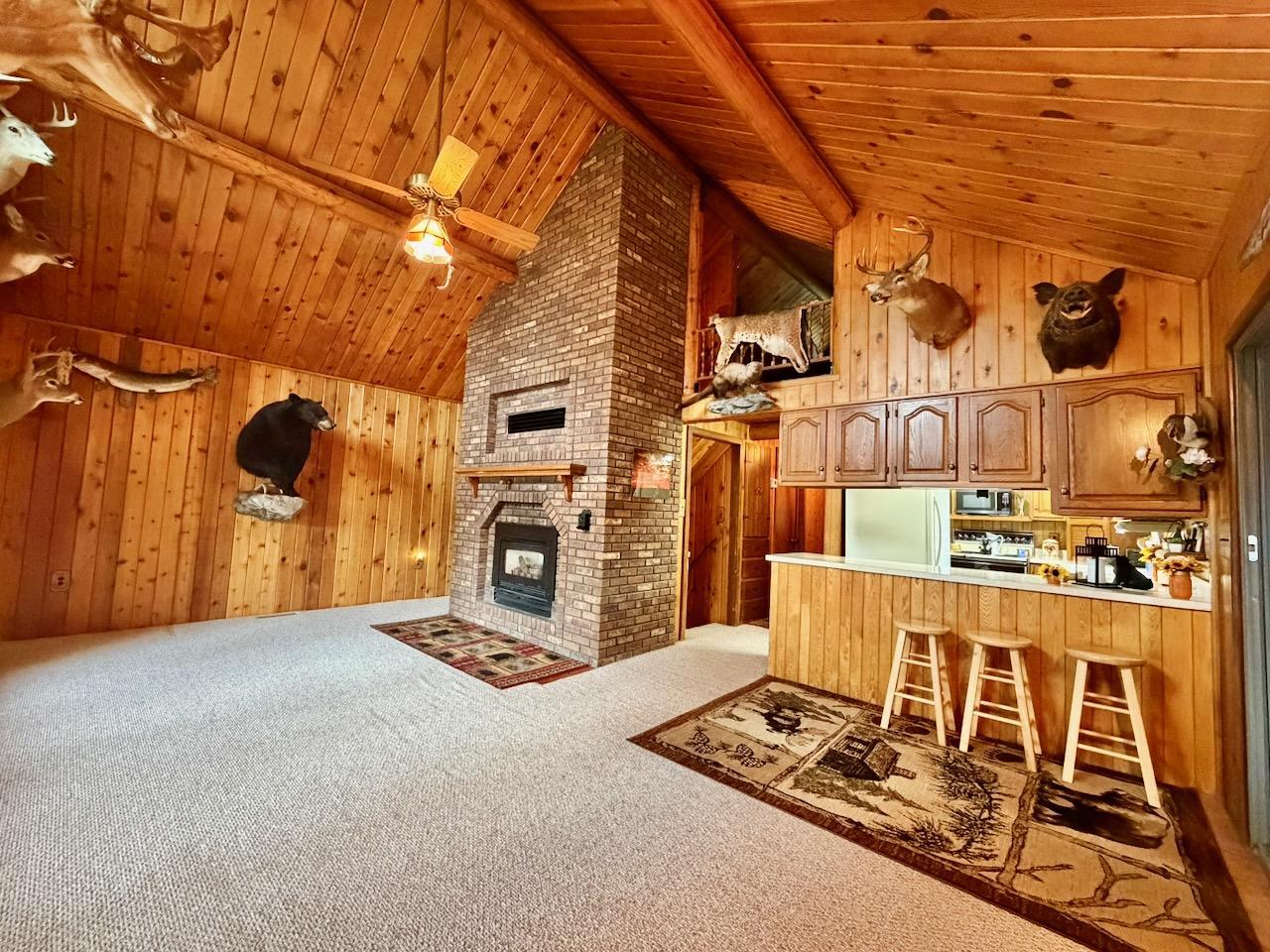 10261 Wien Road Cook, MN 55723 - Photo 16 of 58 Gallery Image 16