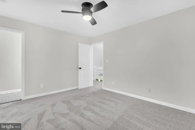 a view of a yard with large tree