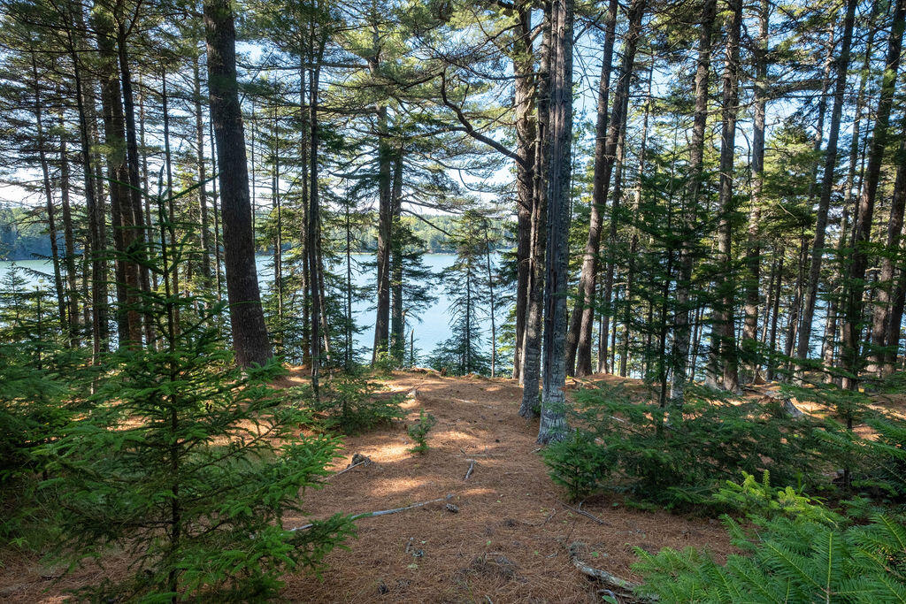 0 Inner Hbr Road Stonington, ME 04681 - Photo 24 of 50 InnerHarborcamp-24