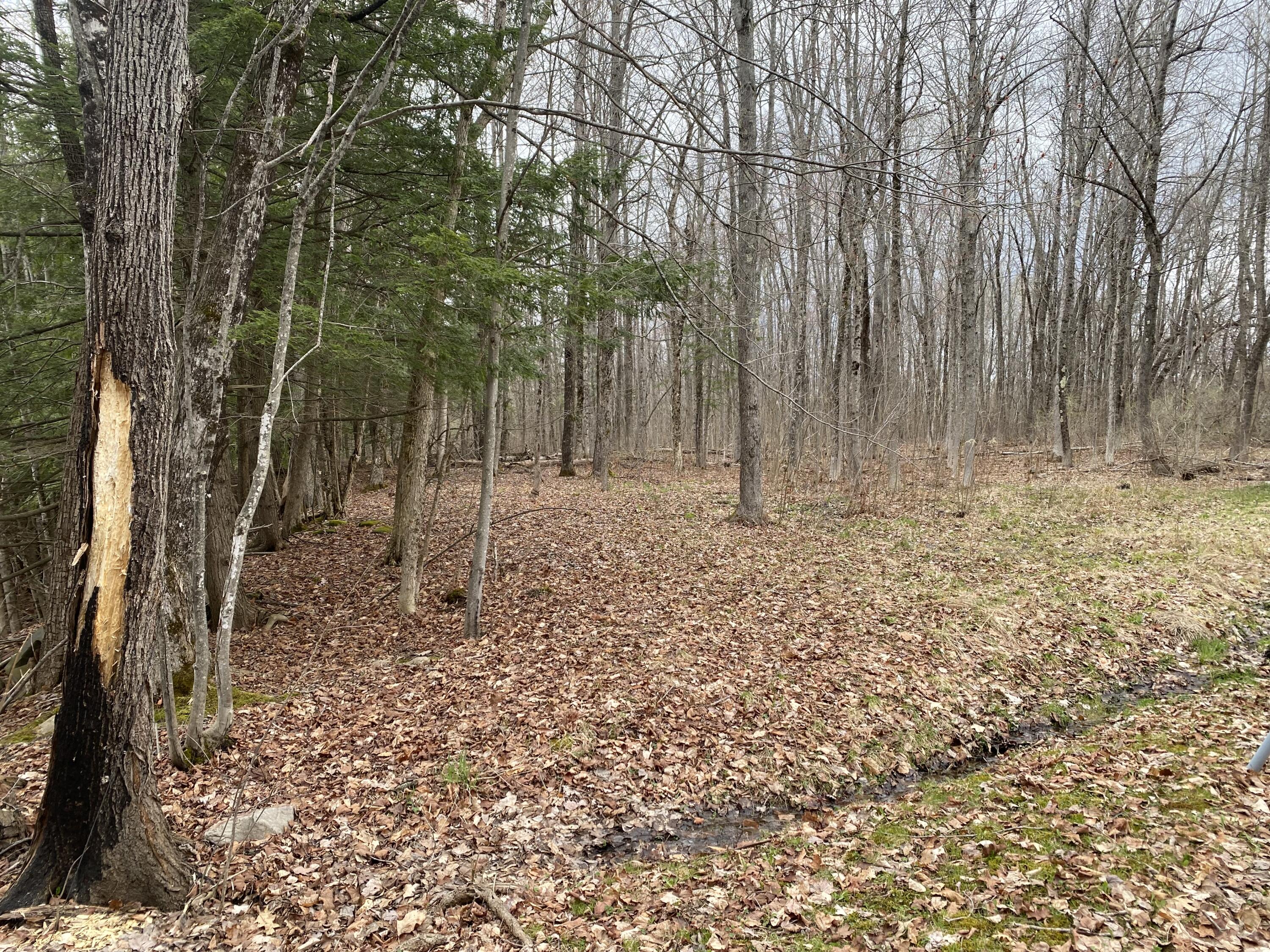 312 Ridge Road Fairfield, ME 04937 - Photo 25 of 26 26 Land