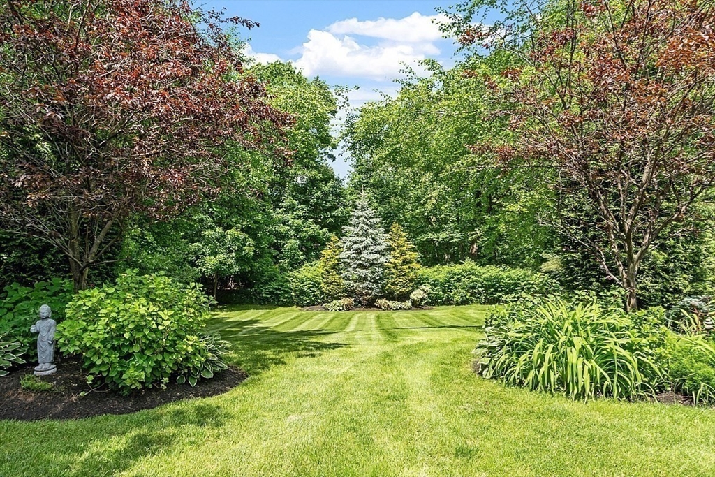 25 Shade Street Lexington, MA 02421 - Photo 4 of 42 a view of a garden with a flower plants