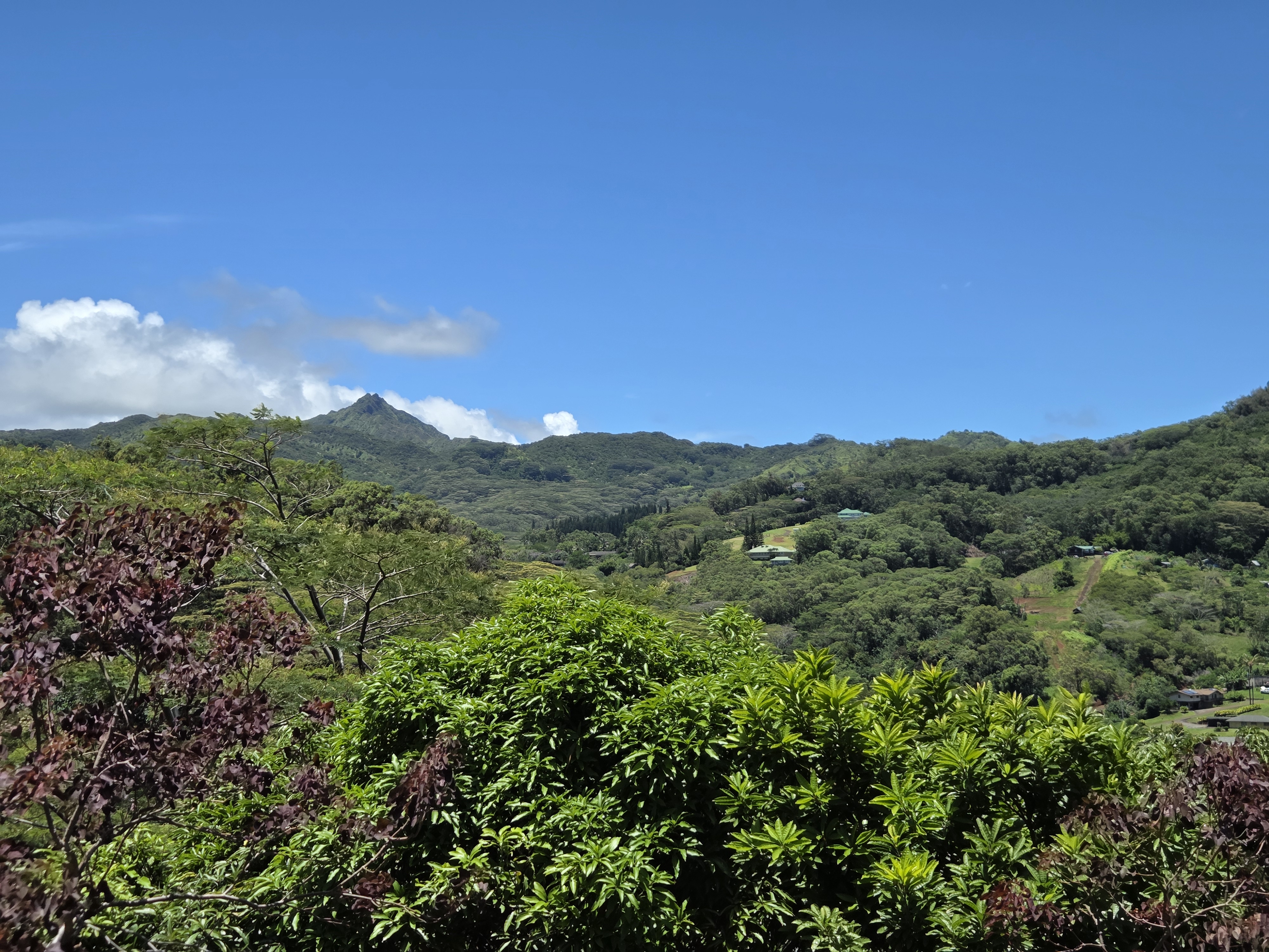 3320 B Wawae Road Kalaheo, HI 96741 - Photo 4 of 18