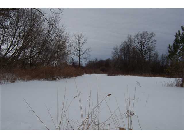 2110 State Rte 21 Palmyra, NY 14522 - Photo 1 of 1 Land