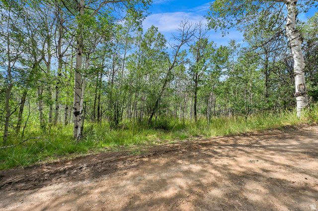5426 East Colter Road, Unit 33 Kamas, UT 84036 - Photo 1 of 45 Natural landscape featuring a dirt path and abundant mature trees with green foliage