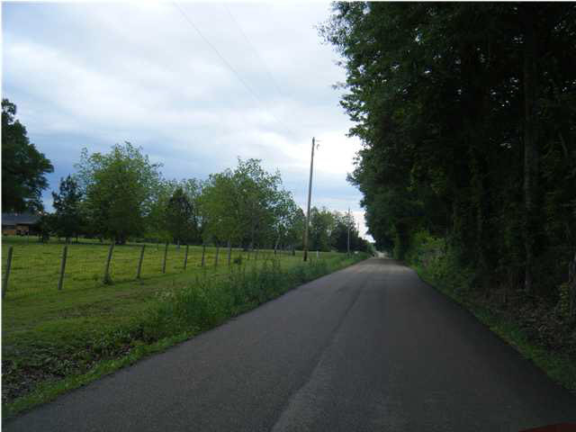 11 Pisgah Bottom Road Canton, MS 39046 - Photo 3 of 6 Photo 3