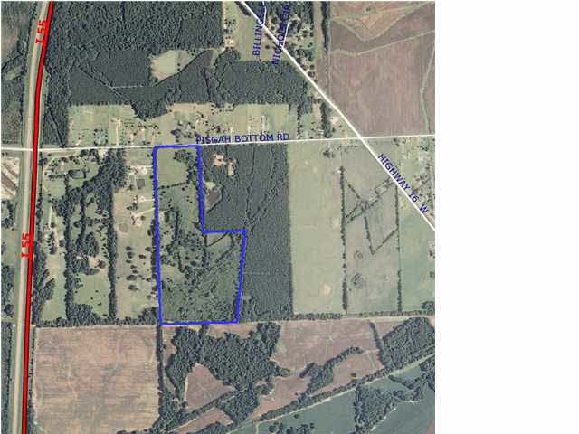 11 Pisgah Bottom Road Canton, MS 39046 - Photo 4 of 6 Photo 4