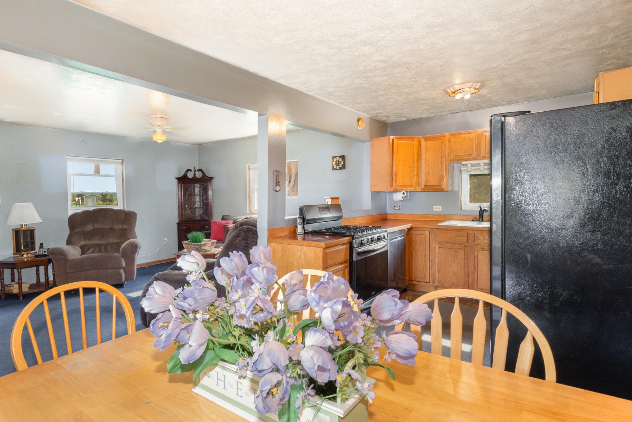 406 West Main Street Maple Rapids, MI 48853 - Photo 5 of 25 1913287-4.JPG